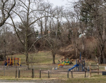 A playground visible among several tall trees