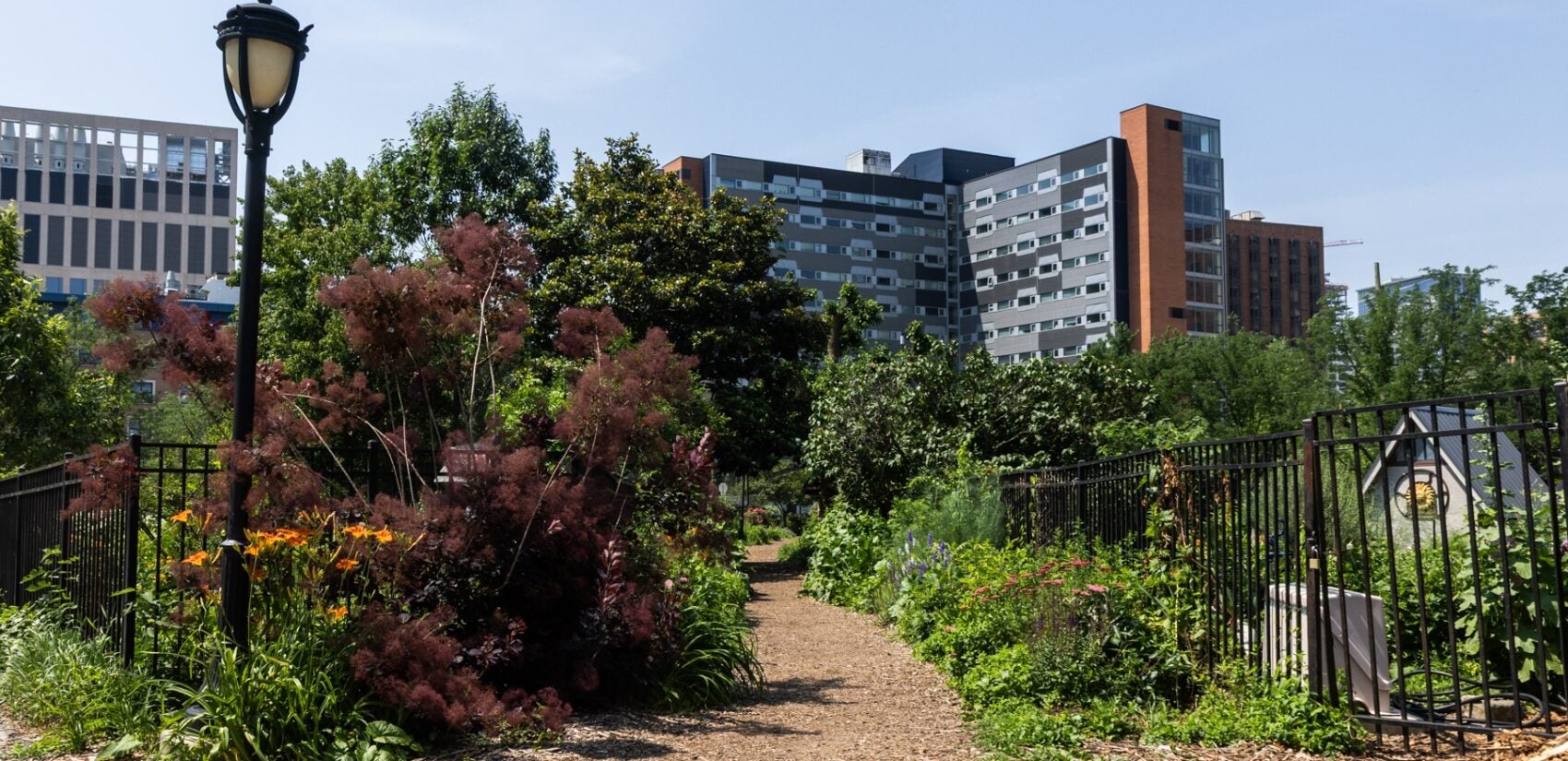 a walkway through the Summer Winter Community Garden