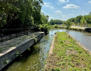 Water flowing through the canal