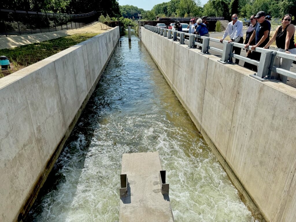 Water flowing through the canal