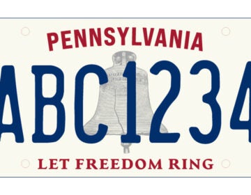 NEWPALICENSEPLATE