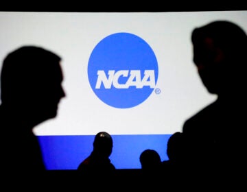 (AP Photo/Mark Humphrey)