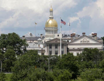 File photo: The New Jersey State House is seen in Trenton, N.J.