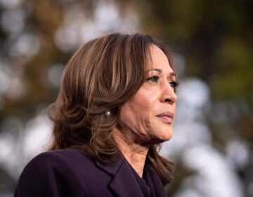 Democratic presidential nominee Vice President Kamala Harris delivers a concession speech after the 2024 Presidential election, Wednesday, Nov. 6, 2024, on the campus of Howard University in Washington. (AP Photo/Jacquelyn Martin)