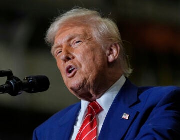 President Donald Trump