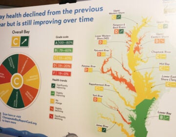 A poster that describes the health of the Chesapeake Bay is displayed