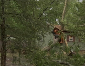 A home in Buena Vista, New Jersey is damaged by fallen trees