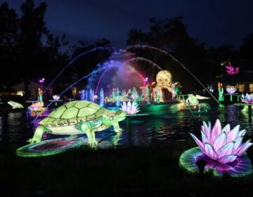 multiple illuminated sculptures at Franklin Square