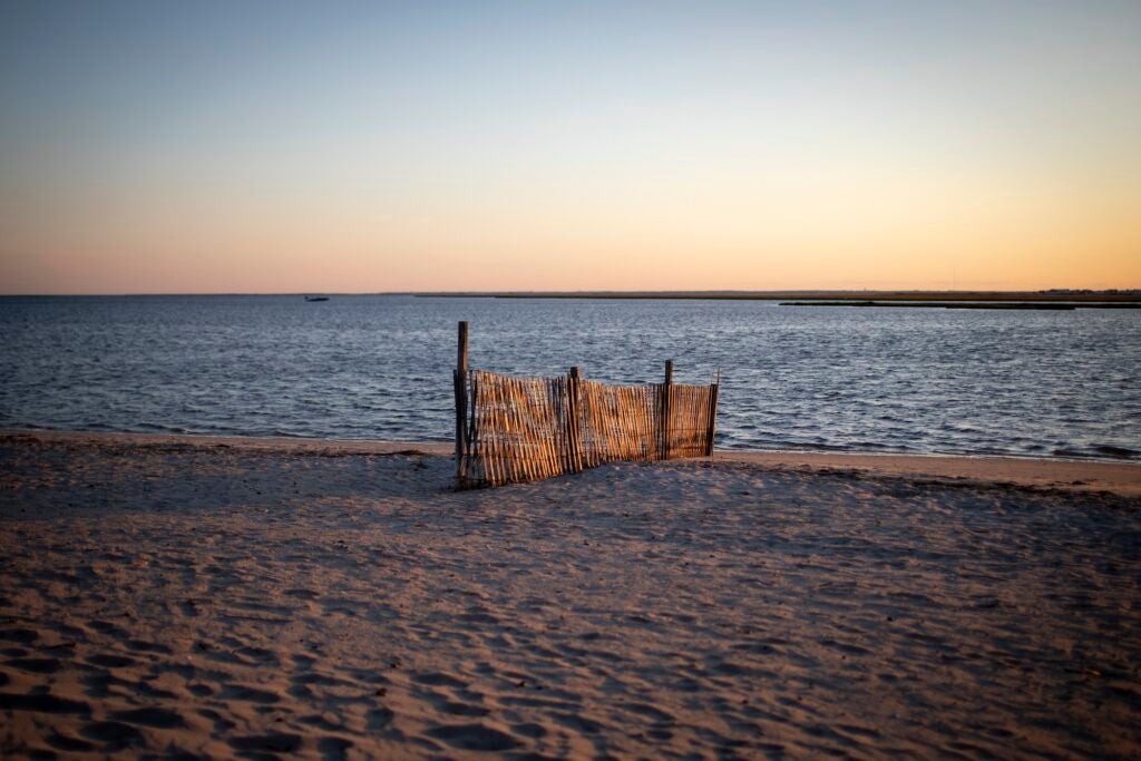 The beach at sunset