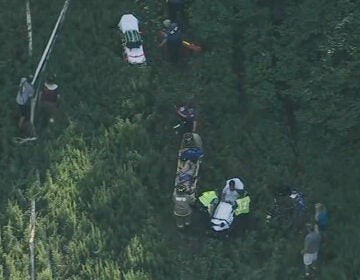 Medical professionals at the site of a plane crash near Cross Keys Airport in Gloucester County