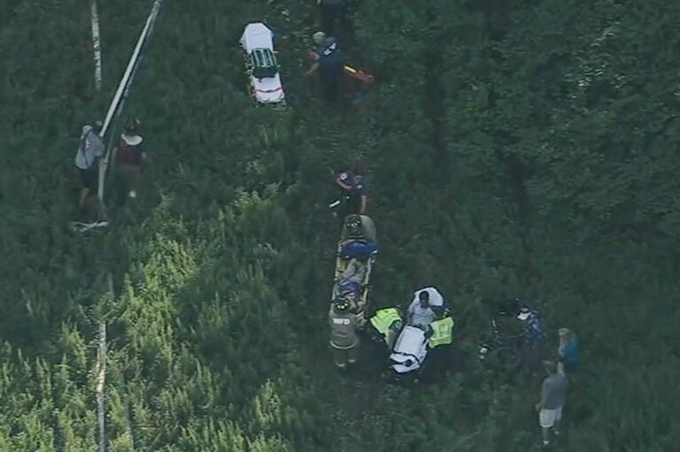 Medical professionals at the site of a plane crash near Cross Keys Airport in Gloucester County