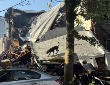 Nicetown rowhomes destroyed