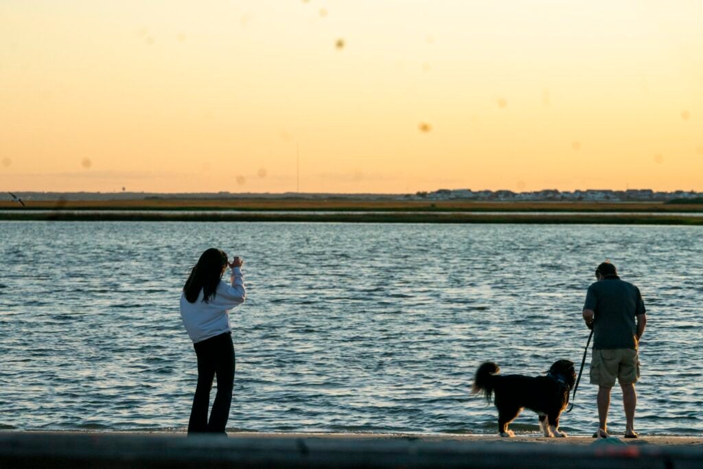 A couple on the beach with their dog at sunset