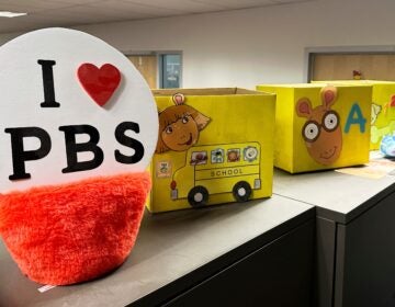 PBS Kids show characters decorate boxes at the Arizona PBS offices in the Walter Cronkite School of Journalism and Mass Communication in Phoenix