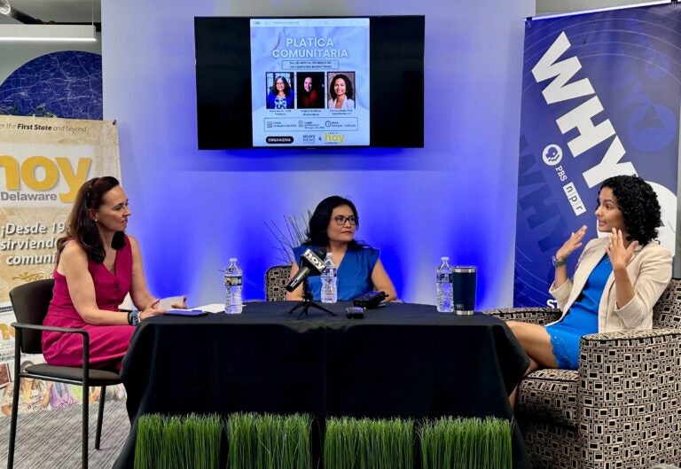 Moderator Virginia Esteban, therapist María Aguilar and assistant professor at the University of Delaware Franssy Zablah speak at the event