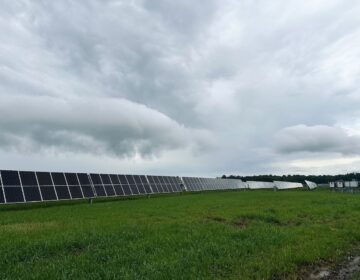 Solar panels along Trap Pond Road in Georgetown Delaware