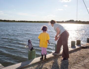 A mother and daughter skipping rocks into the water