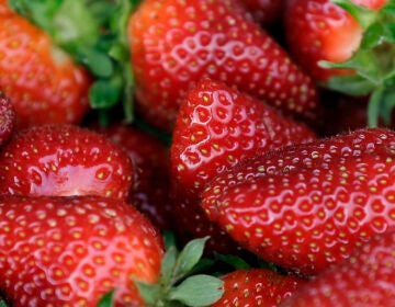 strawberries