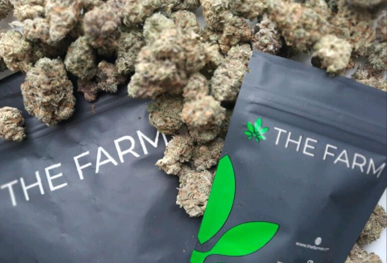 marijuana from The Farm