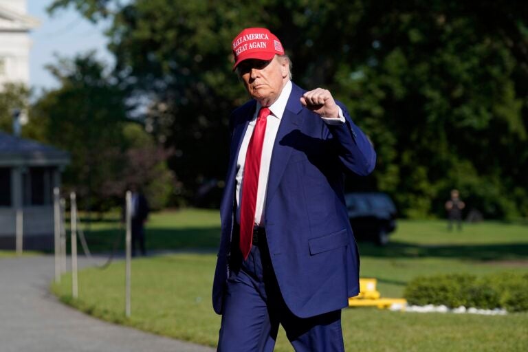 Donald Trump pumping his fist